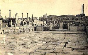 Timgad 113